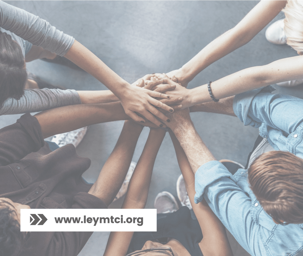 Plataforma MTCI 2048x1732 1 | AEMI